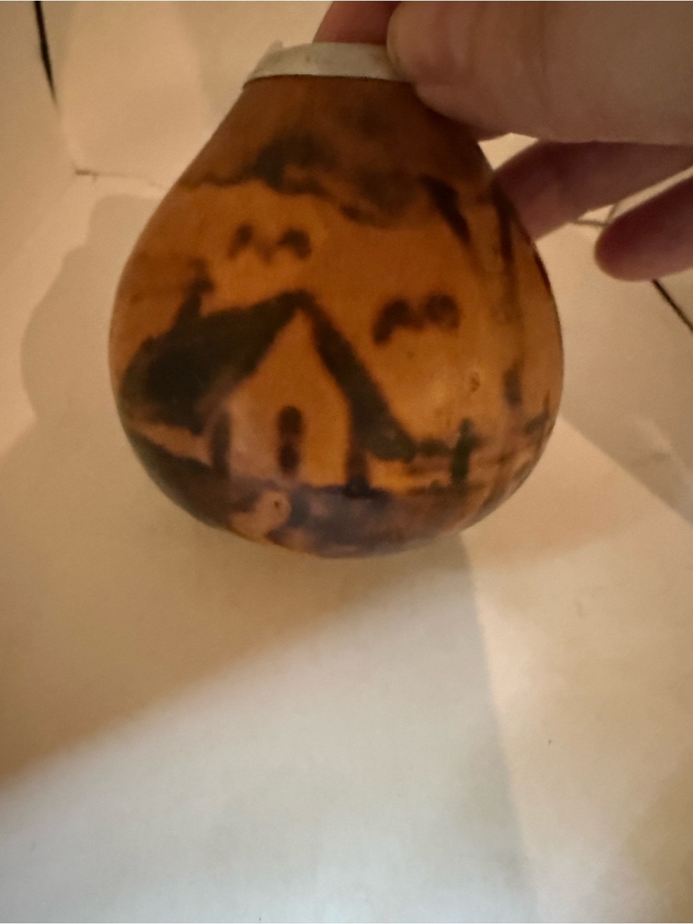 Hand-Painted Gourd Rustic Orange Home Art Vase